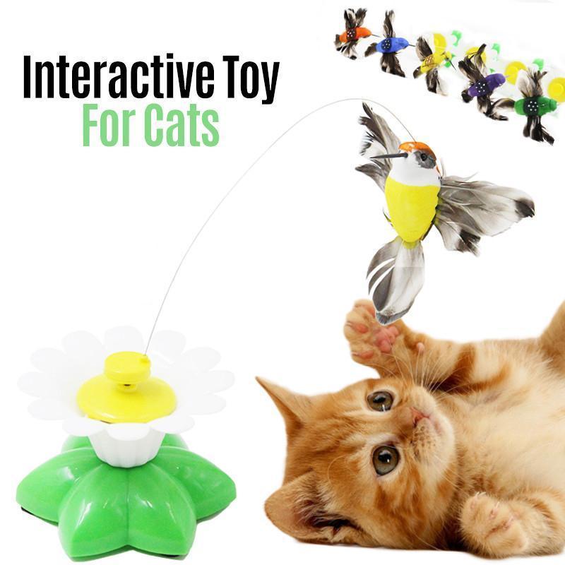 MeowJoy - Interaktives Vogelspielzeug für Katzen [Letzter Tag Rabatt]