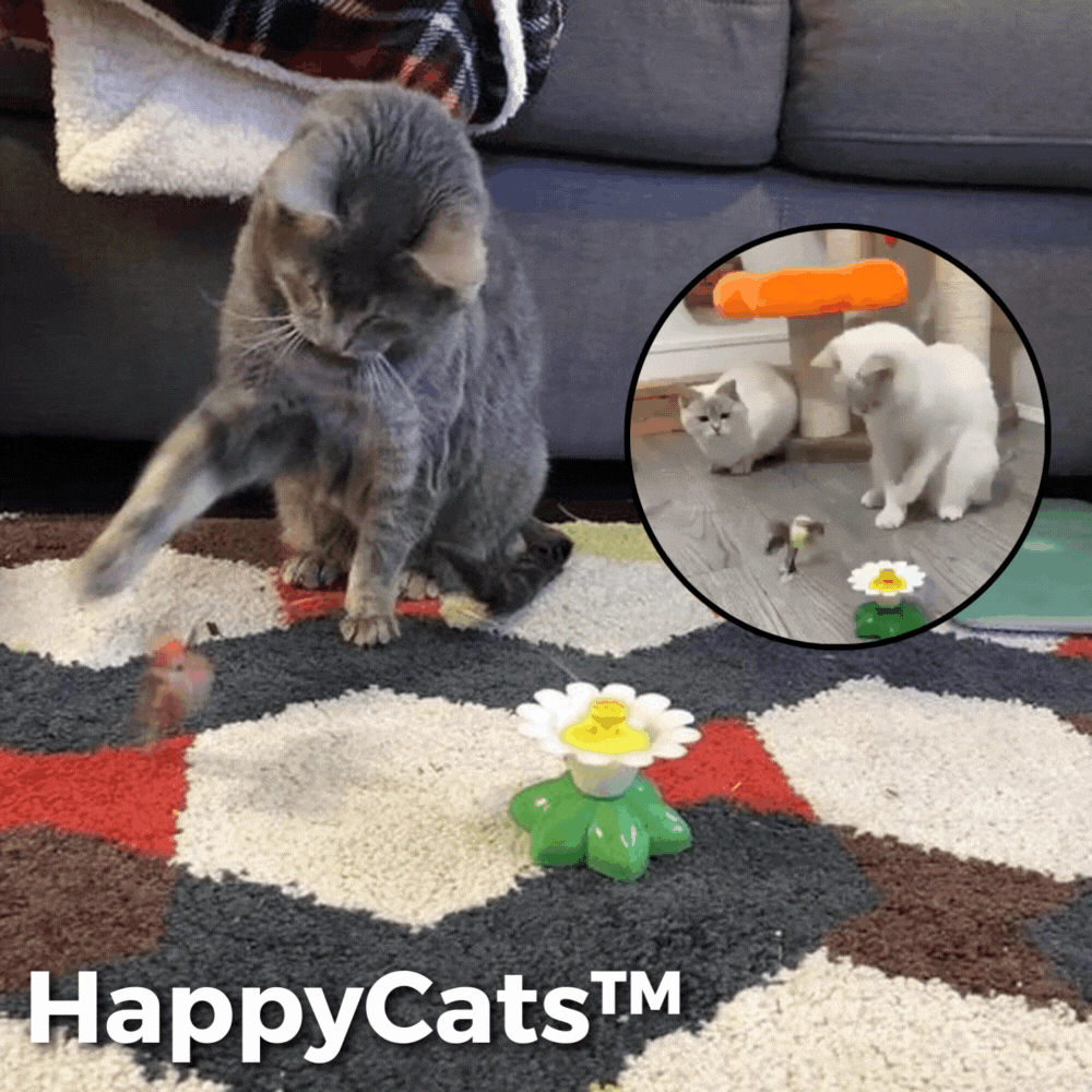 MeowJoy - Interaktives Vogelspielzeug für Katzen [Letzter Tag Rabatt]