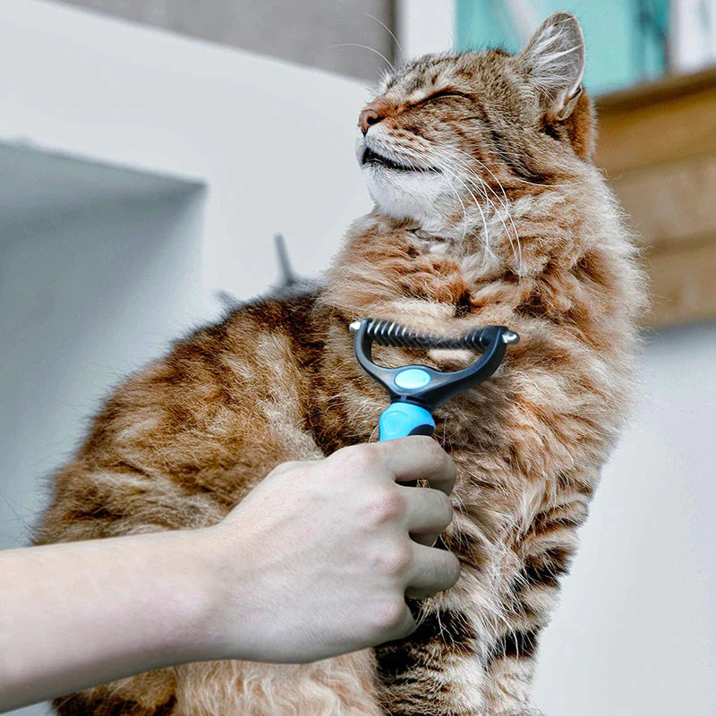 Bluehaus™-borstel voor huisdierenverzorging 